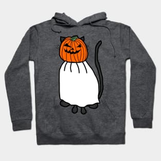 Cute Cat Wearing Halloween Horror Costume Hoodie